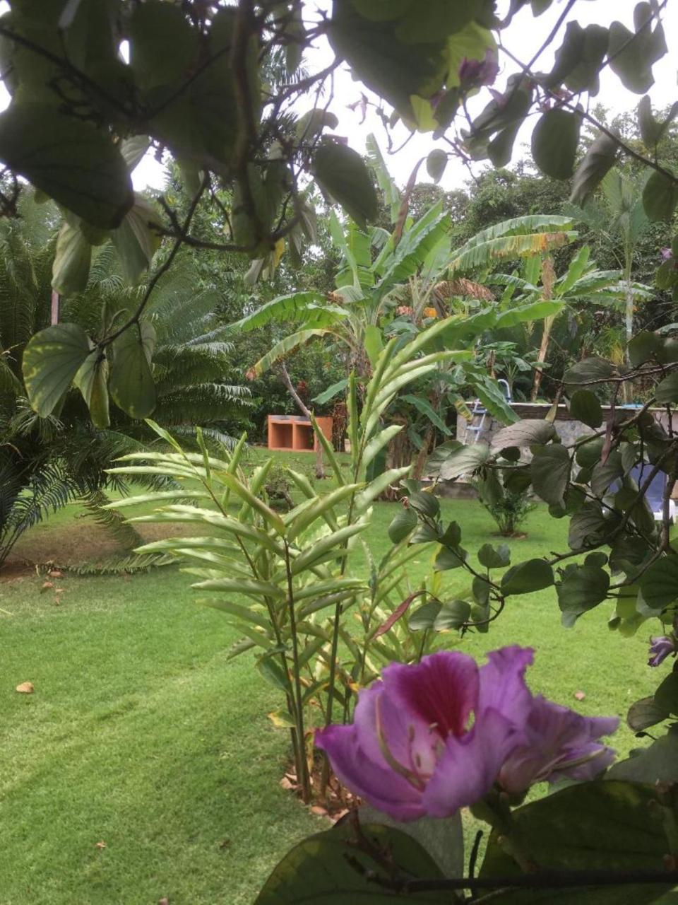 Labellaventura Villa Las Galeras Eksteriør bilde